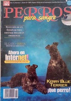KERRY BLUE TERRIER ENE 1998