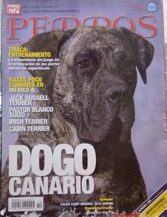 DOGO CANARIO OCT 2011
