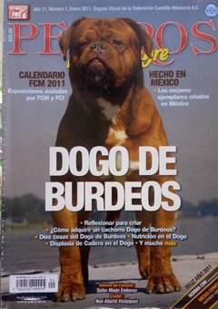 DOGO DE BURDEOS ENE 2011