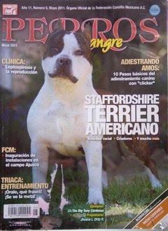 STAFFORDSHIRE TERRIER AMERICANO MAY 2011