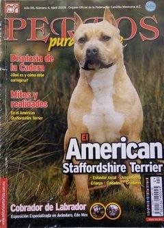 AMERICAN STAFFORDSHIRE TERRIER ABR 2005