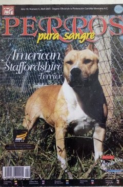 AMERICAN STAFFORDSHIRE TERRIER ABR 2001
