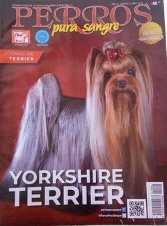 YORKSHIRE TERRIER ABR 2019