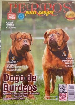 DOGO DE BURDEOS SEP 2017