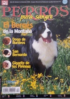 BERNES DE LA MONTAÑA DIC 2003