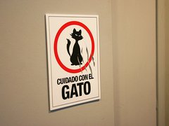 Cartel "Cuidado con el gato" en internet