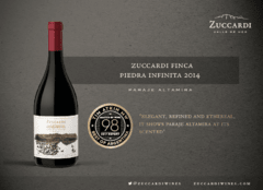 Familia Zuccardi - Finca Piedra Infinita - Malbec - buy online