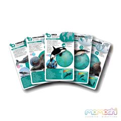 Cartas Luminias Mamiferos Marinos - comprar online