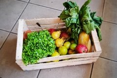 Combo N°5: Bolsón de Verduras x 6 Kg.+ Manzanas Rojas + Naranjas + Mandarinas + Arroz Integral Doble Carolina