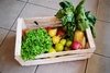 Combo N°4: Bolsón de Verduras x 4 Kg. + Ciruelas + Peras + Limones + Garbanzos
