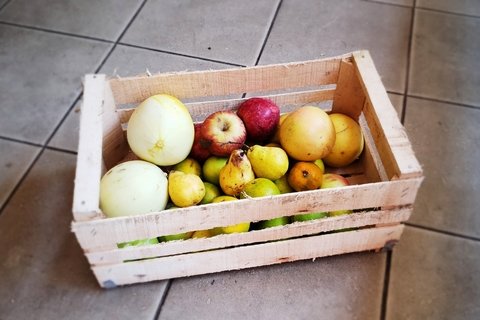 Combo N°6: Manzanas Rojas + Manzanas Verdes + Mandarinas + Limones + Naranjas + Pomelos + Peras + Paltas + Bananas