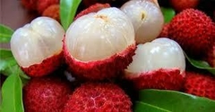 Lichi Orgánico x Kg.