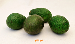 Palta Agroecológica x Kg. (Variedad: Fuerte)