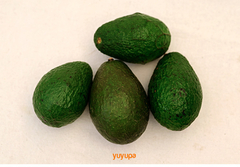 Palta Agroecológica x Kg. (Variedad: Fuerte) en internet