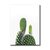 Cactus IV en internet