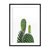 Cactus IV - tienda online