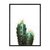 Cactus V en internet