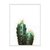 Cactus V - tienda online