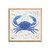Sea Creature Crab Blue