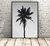 Palm Tree in Black and White