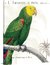 Parrot Botanique I
