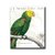Parrot Botanique I - comprar online