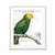 Imagen de Parrot Botanique I