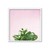 Succulent Simplicity on Pink V - tienda online