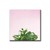 Succulent Simplicity on Pink V - comprar online