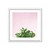 Imagen de Succulent Simplicity on Pink V