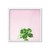 Succulent Simplicity on Pink VII - tienda online