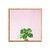 Succulent Simplicity on Pink VII