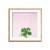 Succulent Simplicity on Pink VII - comprar online