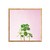 Succulent Simplicity on Pink IX