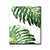 Double Philodendron - comprar online