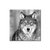 Lobo en blanco y negro en internet