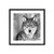 Lobo en blanco y negro - tienda online