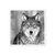 Imagen de Lobo en blanco y negro