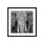 Elefante en blanco y negro - tienda online