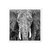 Imagen de Elefante en blanco y negro