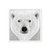 Imagen de Oso polar en blanco y negro