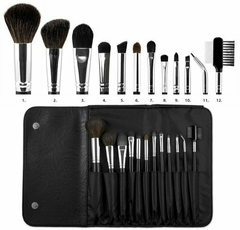 Set de brochas (linea profesional) COASTAL SCENTS 12 Unidades