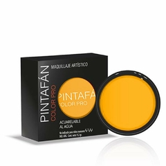 Maquillaje acuarelable - PINTAFAN COLOR PRO - La Plata