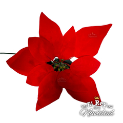 Flor Estrella Federal Roja 20cm