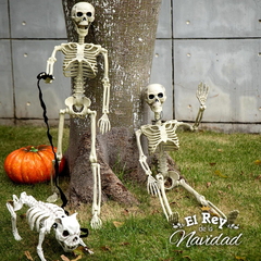 Esqueleto Articulado para Jardin 78cm en internet
