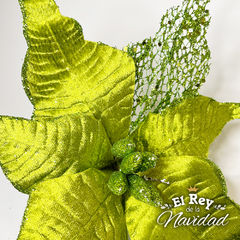 Vara con flor Estrella Federal XL Premium Verde - comprar online