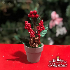 Macetitas con piñas y frutos 12cm - El Rey de la Navidad