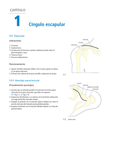 ATLAS DE ABORDAJES QUIRURGICOS ORTOPEDIA Y TRAUMATOLOGIA 6 ED - comprar online