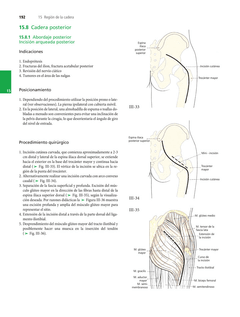 Atlas de Abordajes Quirúrgicos, Ortopedia y Traumatología 6° Ed. na internet