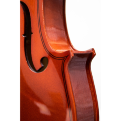 Violín VG001-HP - Aileen - Burbank Music Store